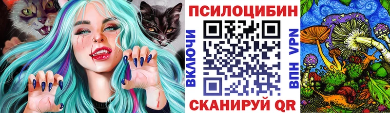 Купить закладки  Ленск  Псилоцибиновые грибы мухоморы 